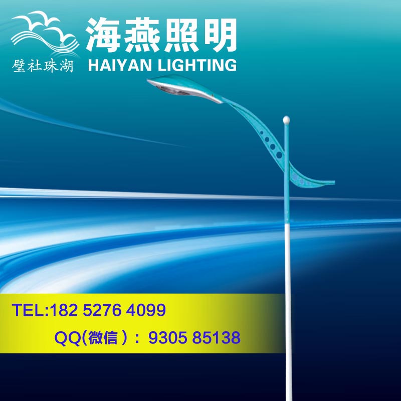 龍泉單臂LED小區路燈