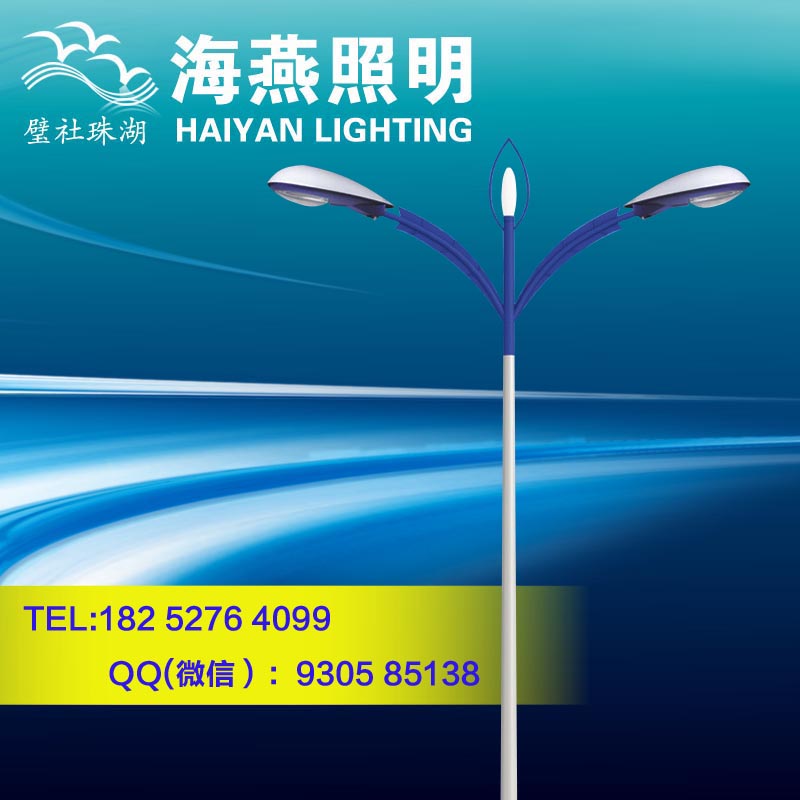 歙縣雙挑節能路燈