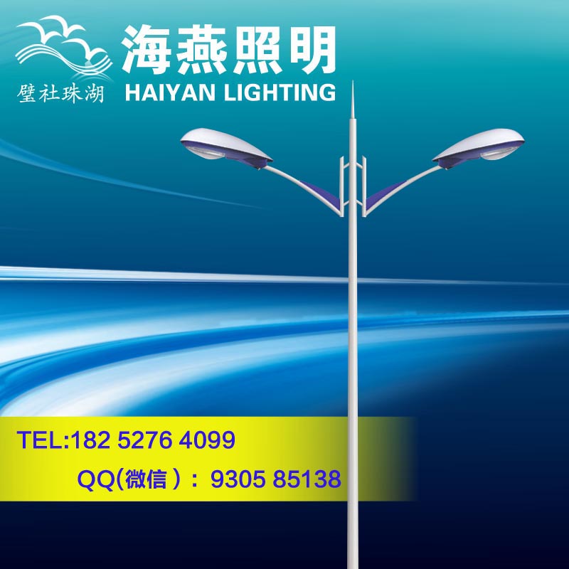 天長單挑節(jié)能路燈廠家