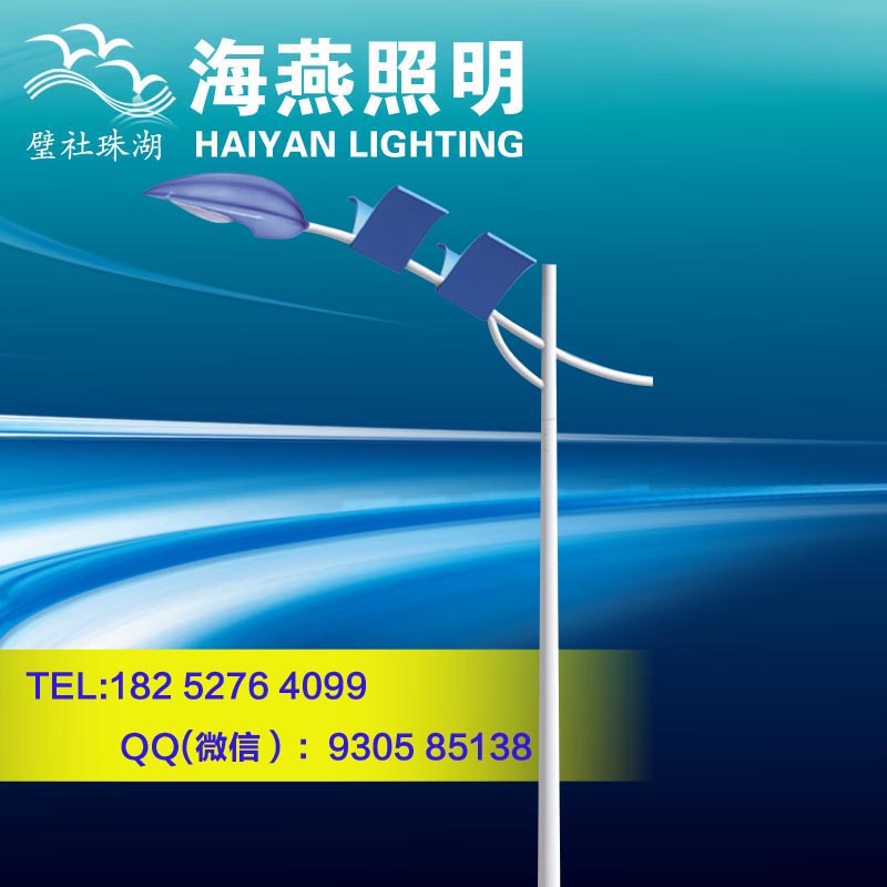 新農村8m節能LED路燈多少錢